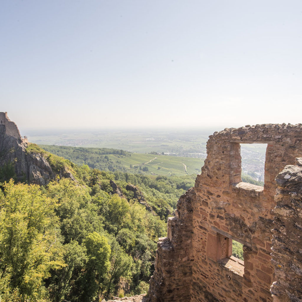 Burg Girsberg Alsace, terre de châteaux forts