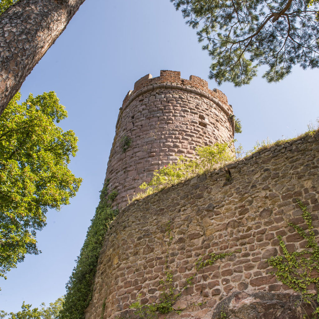 HautRibeaupierre Castle Alsace, terre de châteaux forts