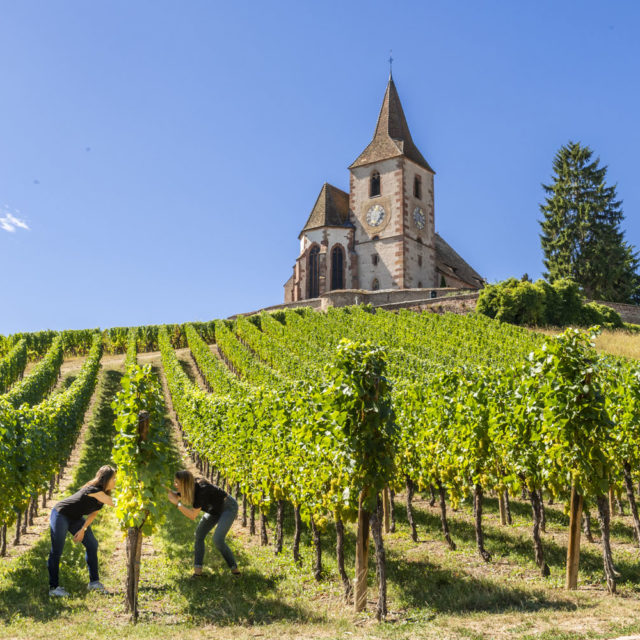 riquewihr tourist information